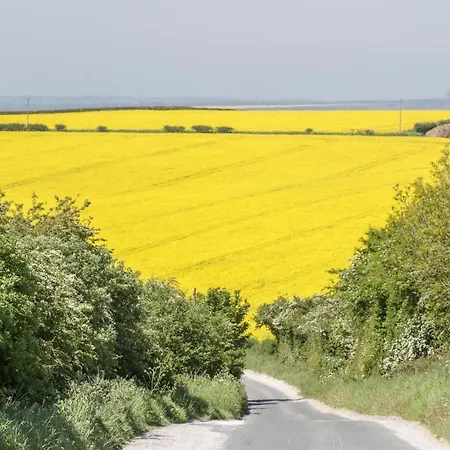 Hilltop House 호텔